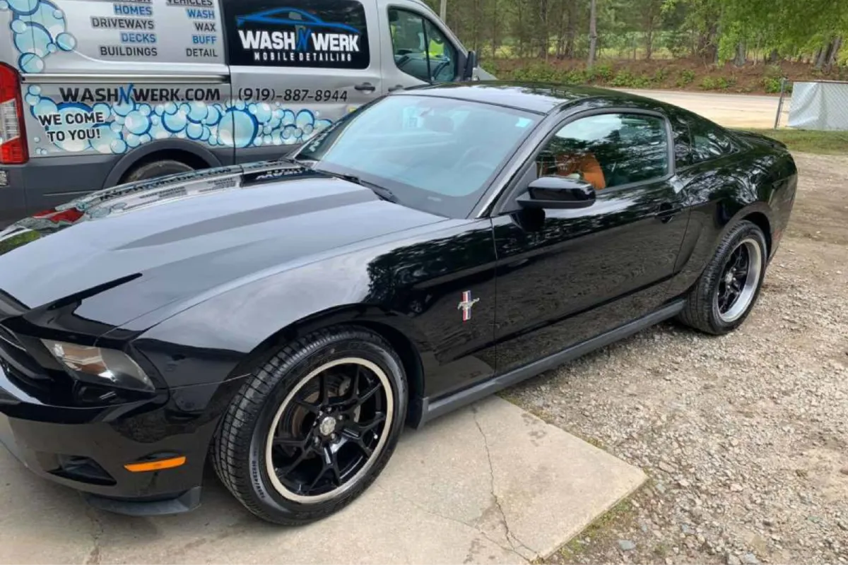 Black Mustang restored to a deep shine with paint correction.